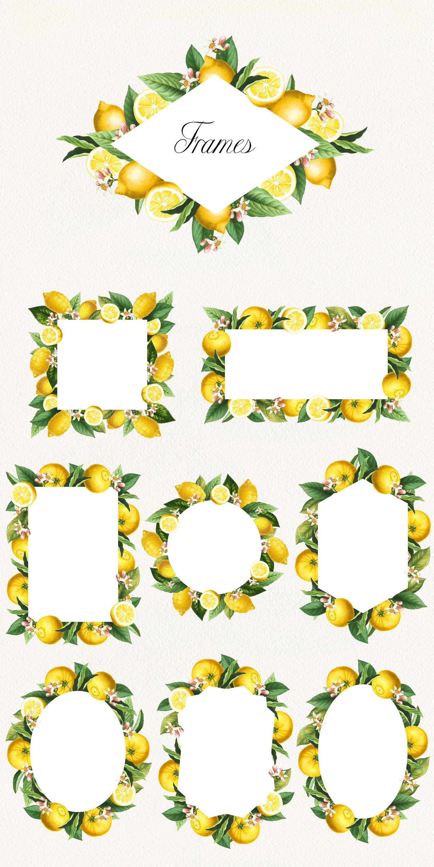 VINTAGE LEMON CITRUS Graphic Collection
