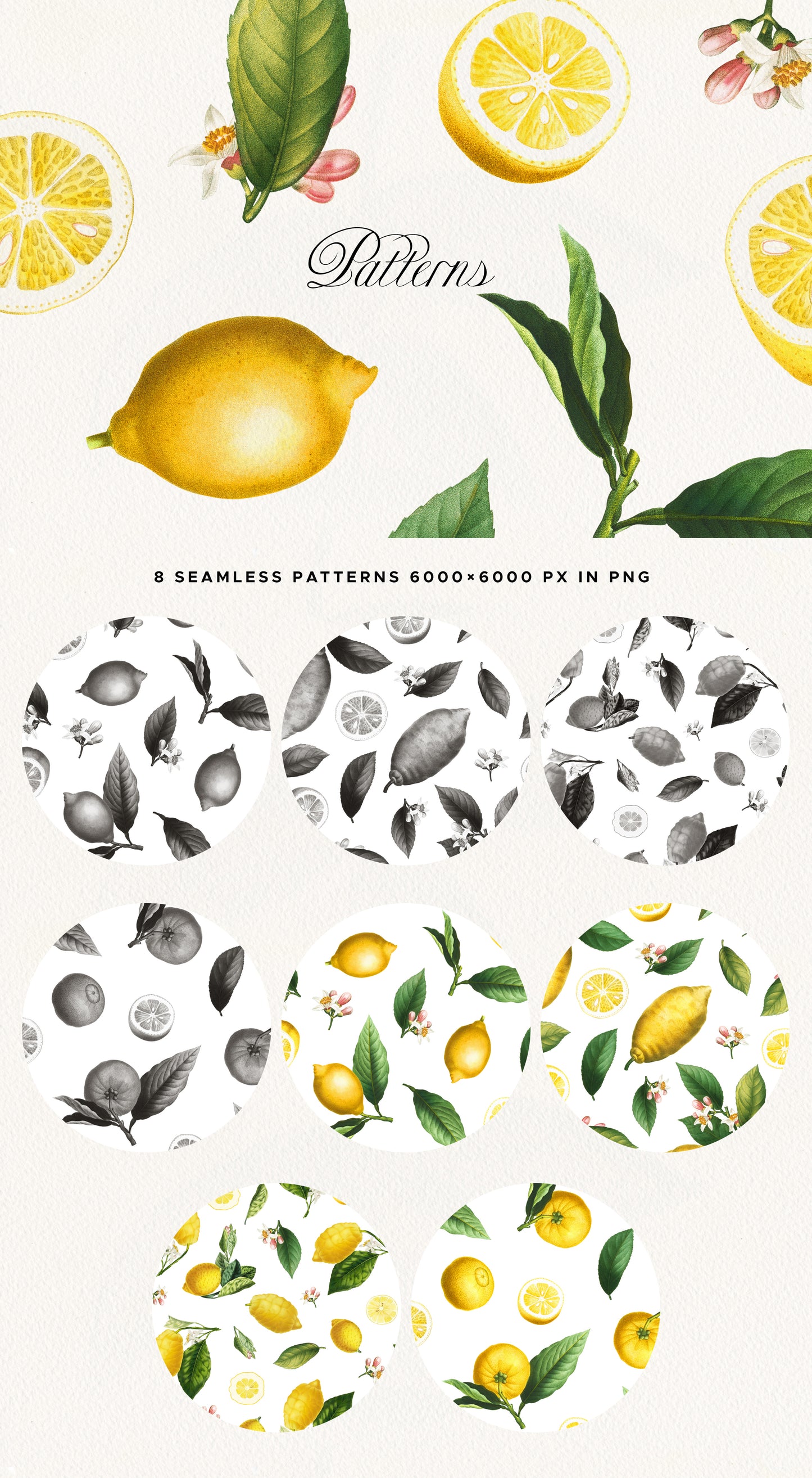 VINTAGE LEMON CITRUS Graphic Collection