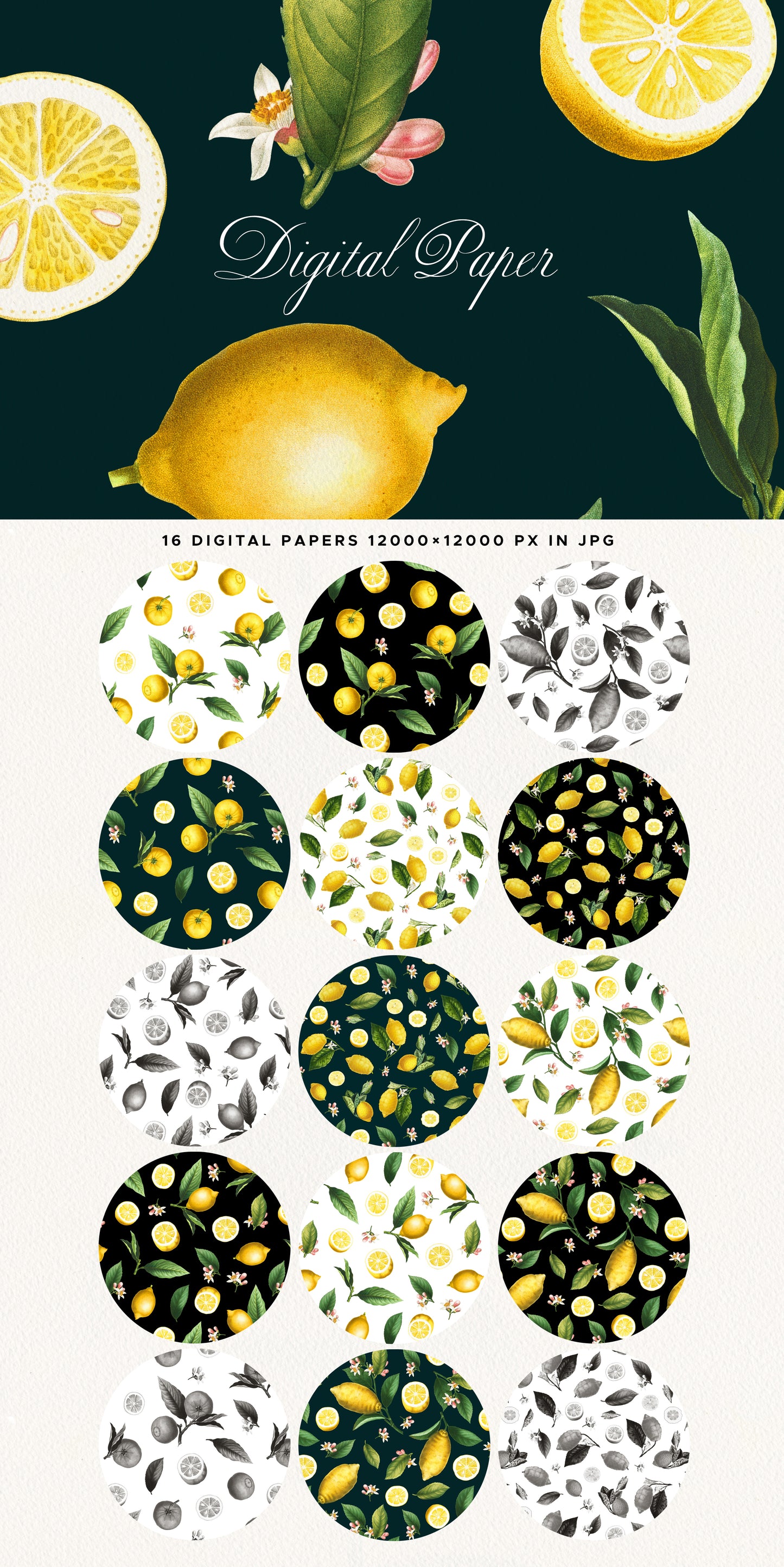 VINTAGE LEMON CITRUS Graphic Collection