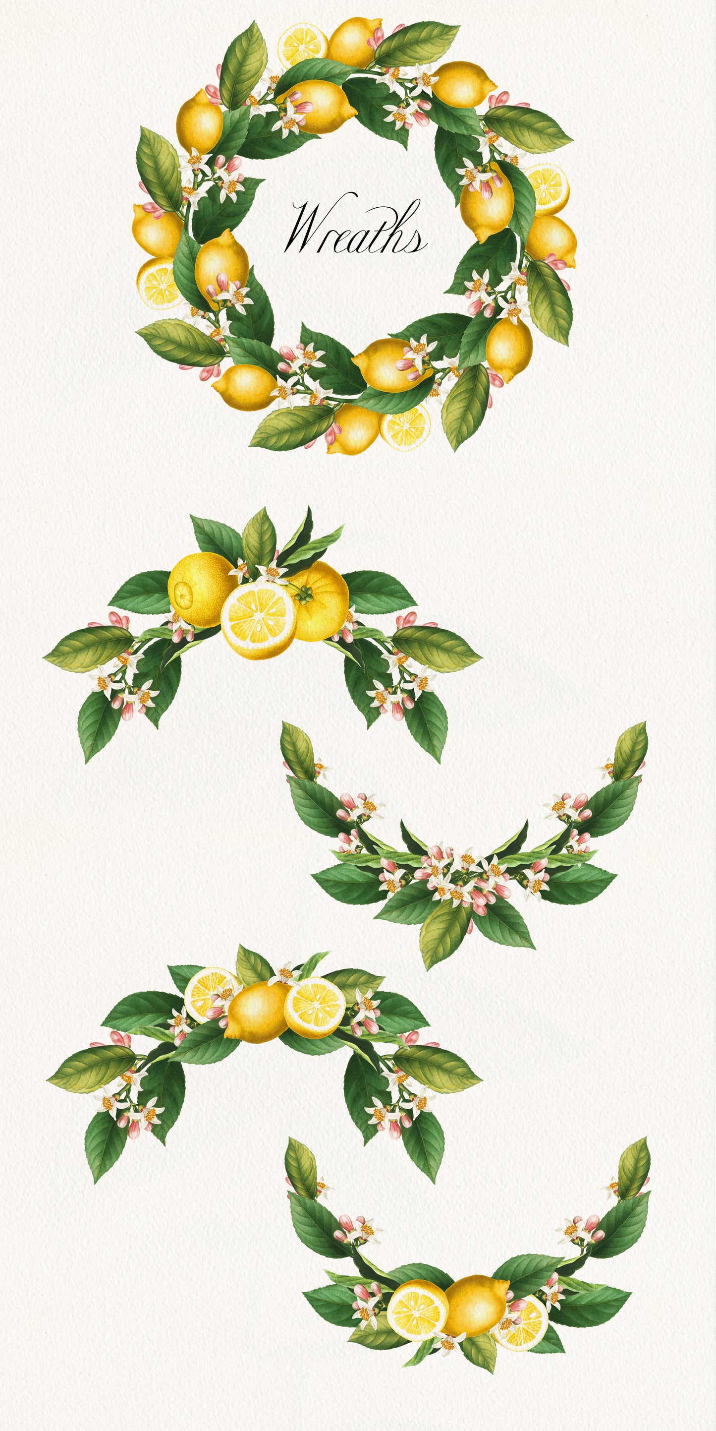 VINTAGE LEMON CITRUS Graphic Collection