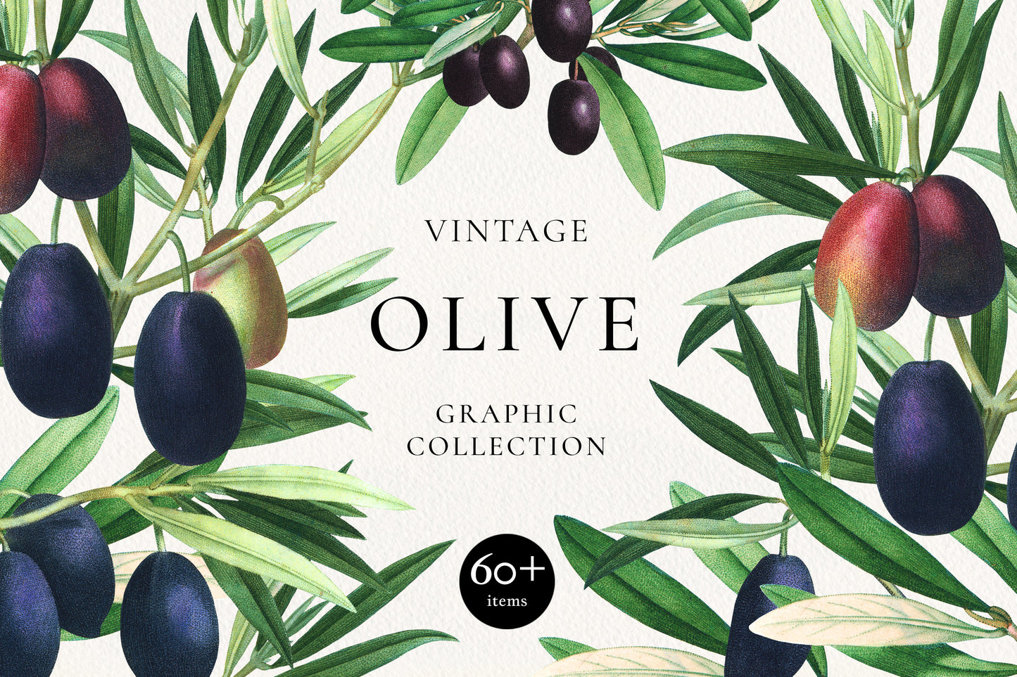 VINTAGE BOTANICAL Graphics Bundle