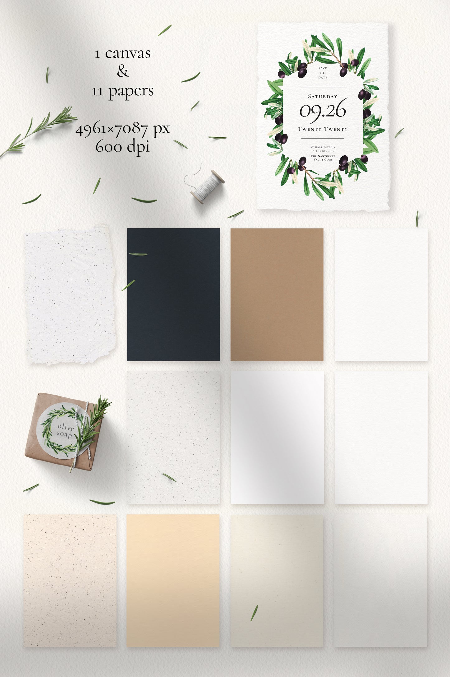 VINTAGE OLIVE Graphic Collection