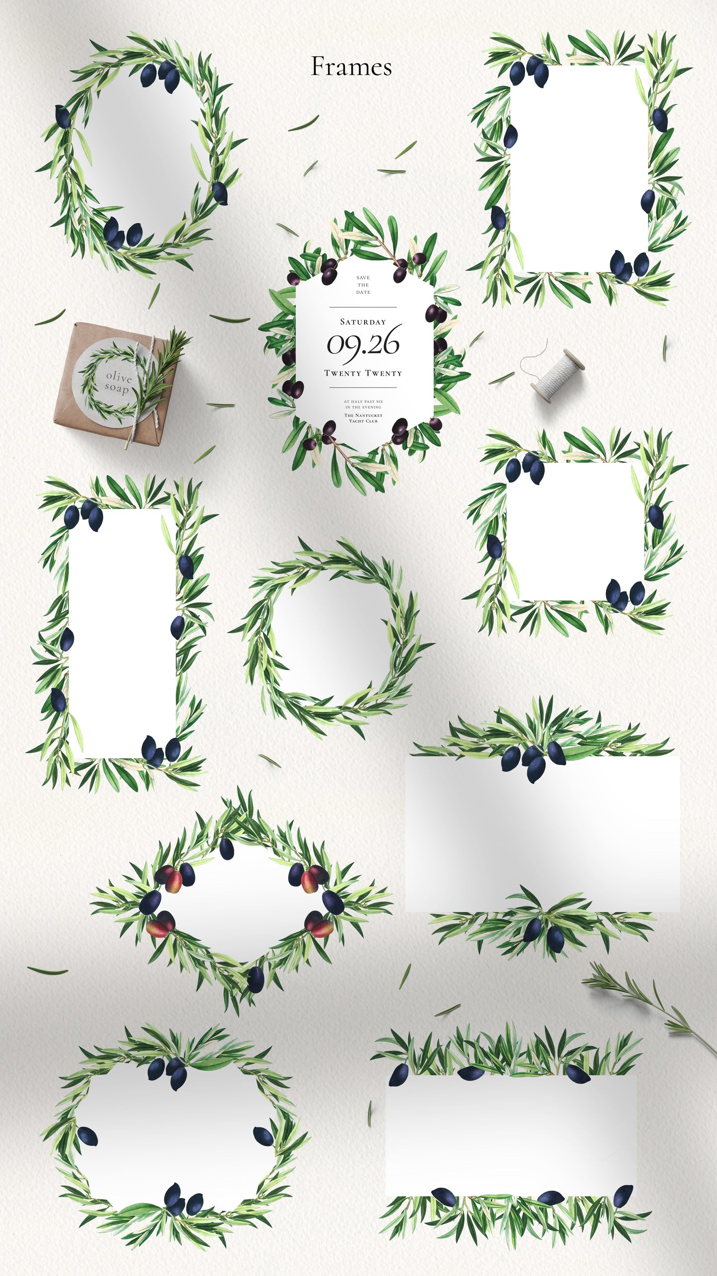 VINTAGE OLIVE Graphic Collection