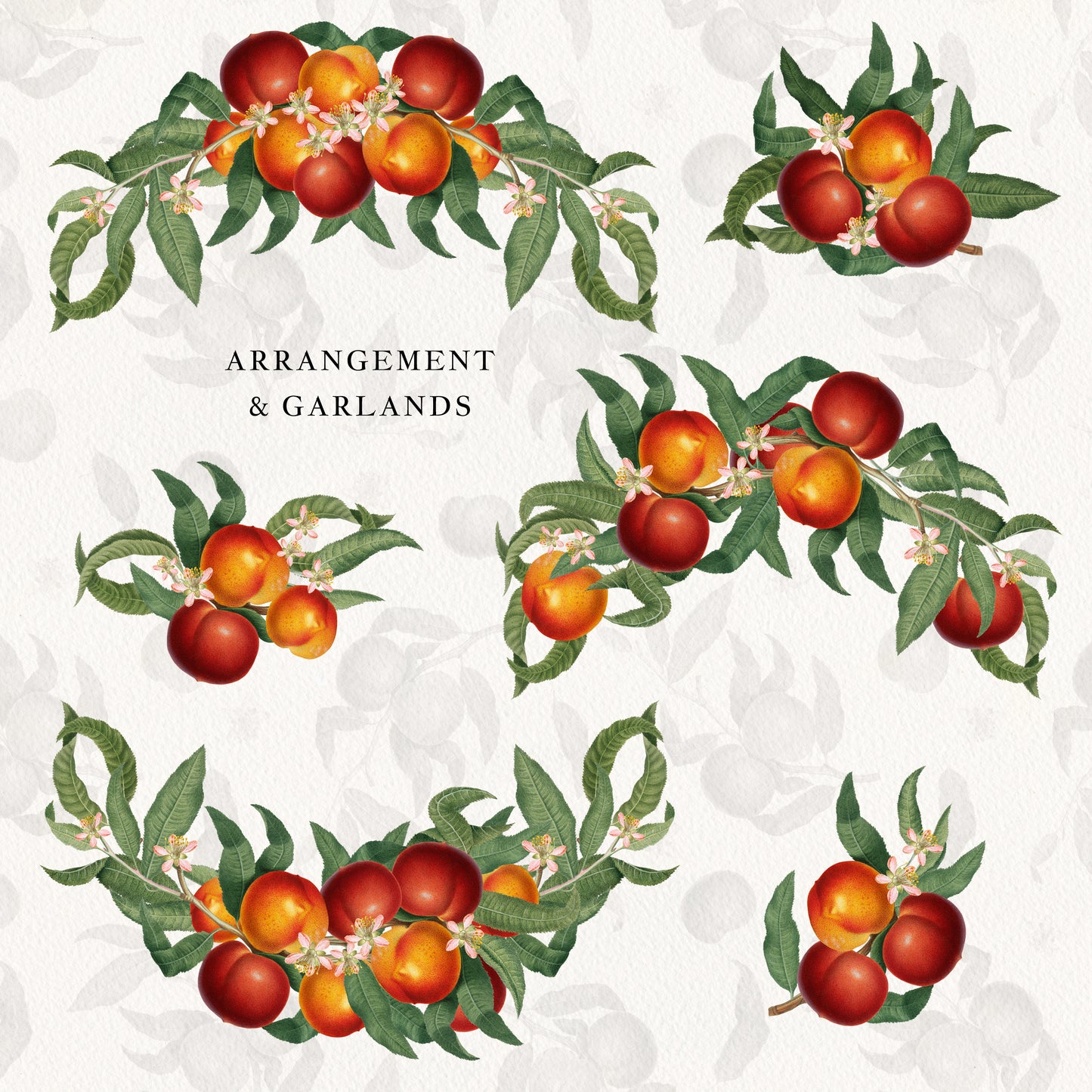 VINTAGE PEACH Graphic Collection #01