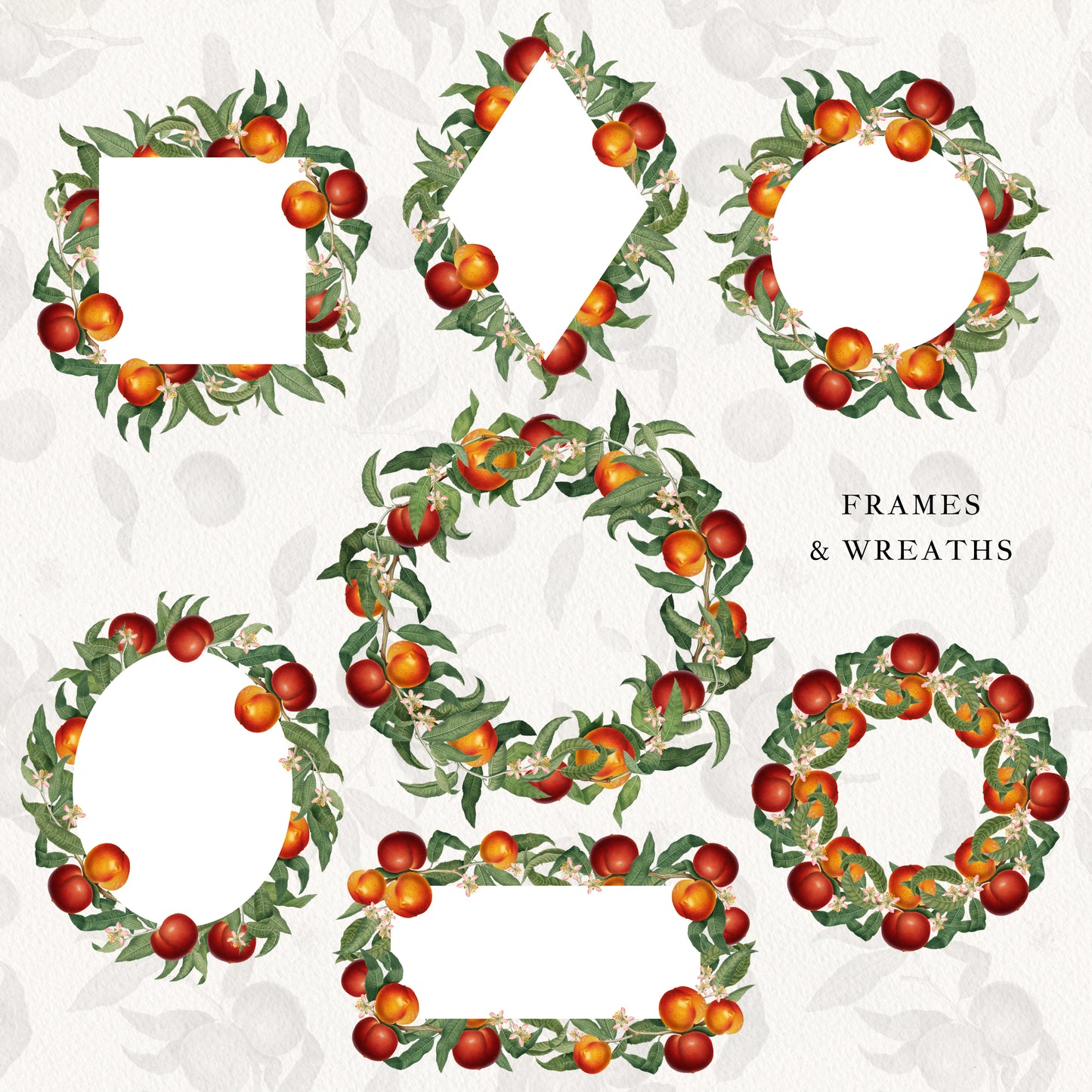 VINTAGE PEACH Graphic Collection #01