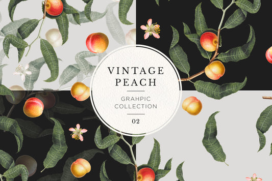VINTAGE PEACH Graphic Collection #02
