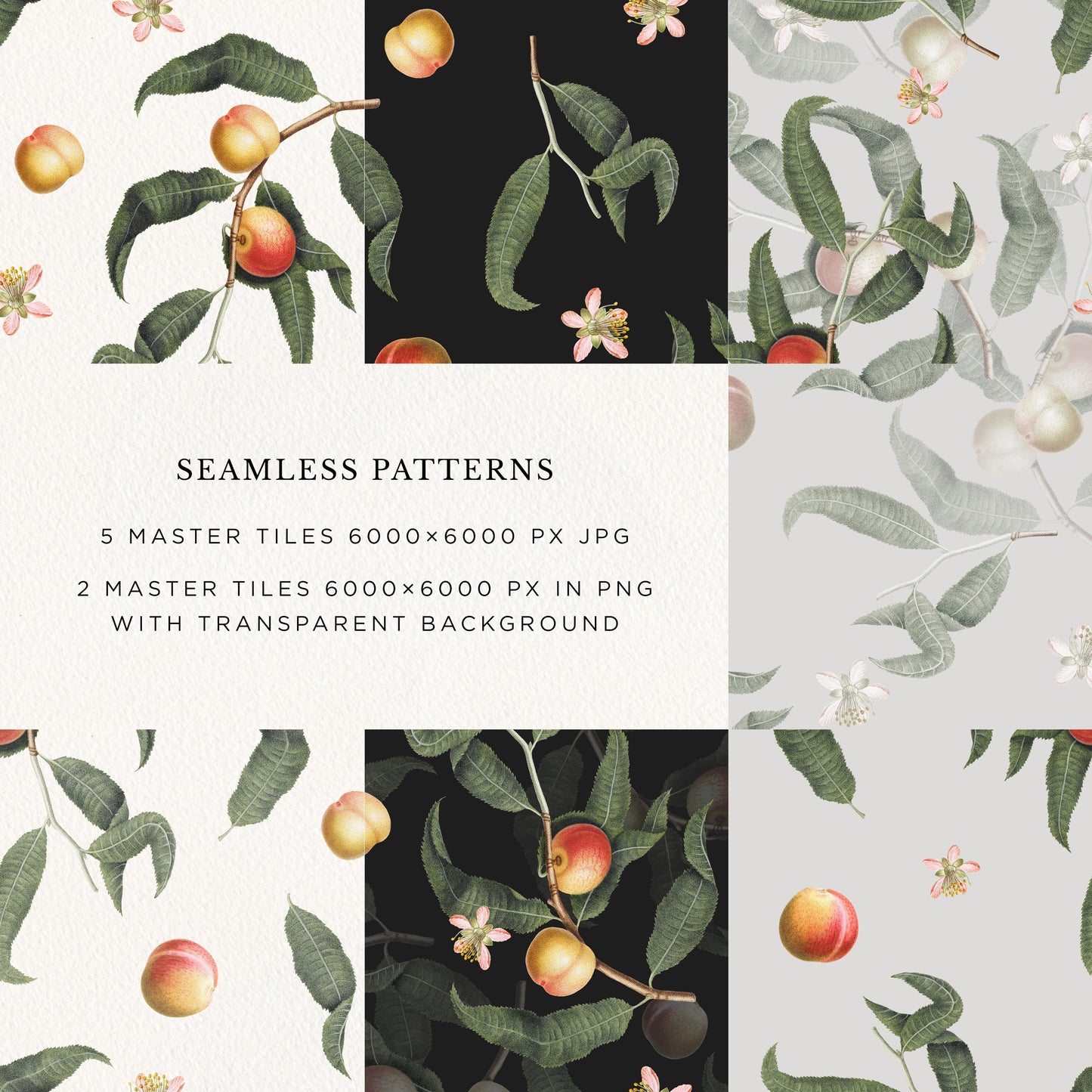 VINTAGE PEACH Graphic Collection #02