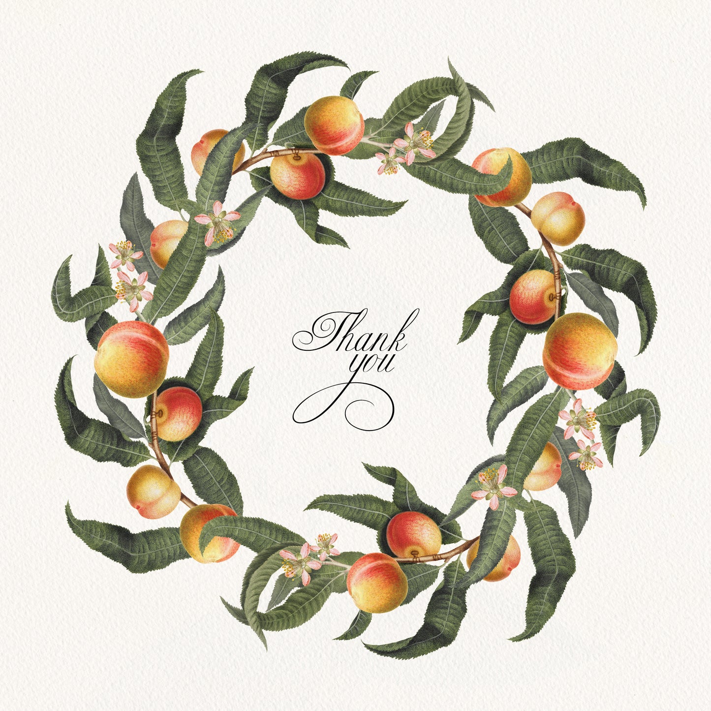 VINTAGE PEACH Graphic Collection #02