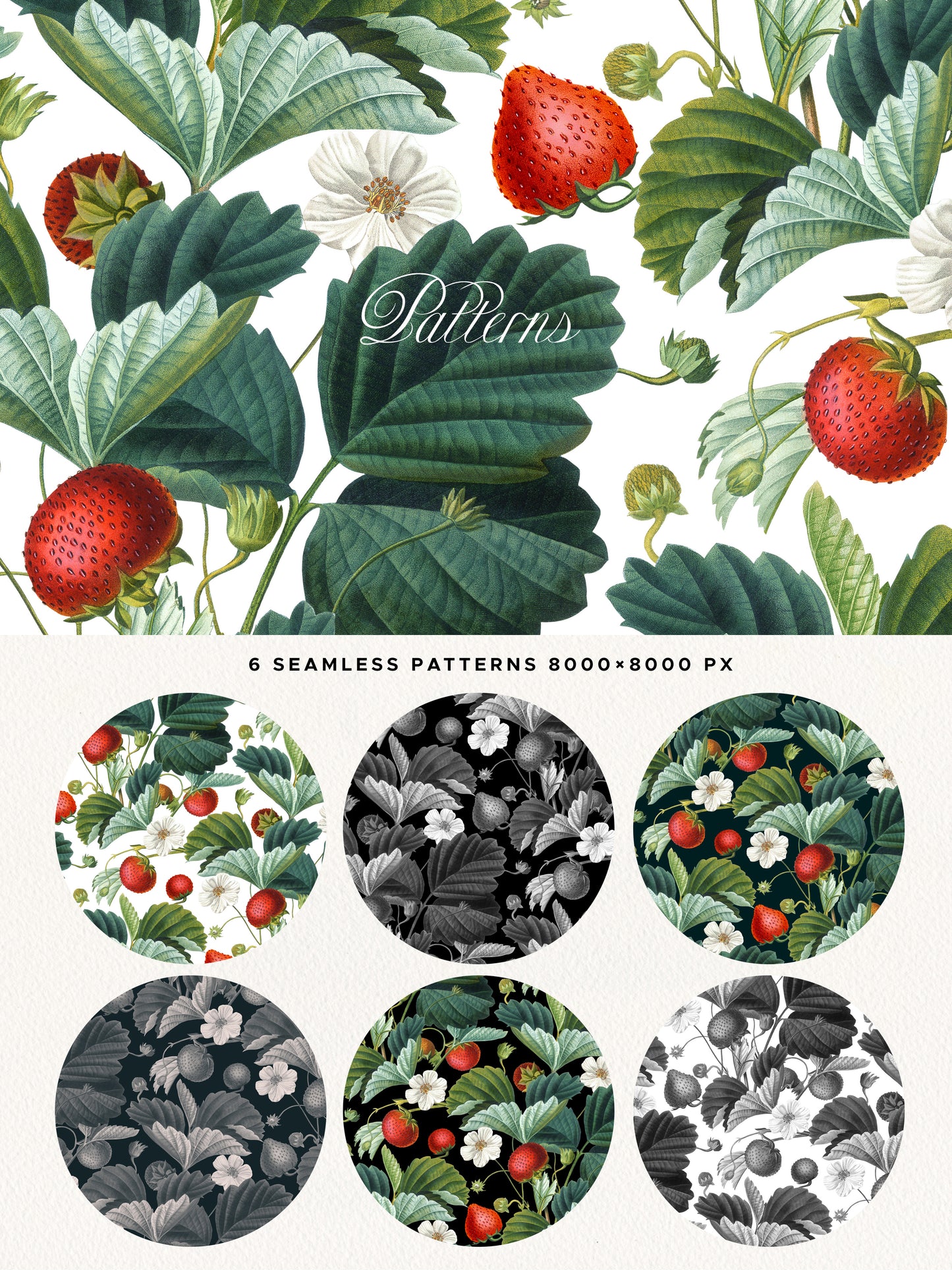 VINTAGE ERDBEERE Grafikkollektion #01