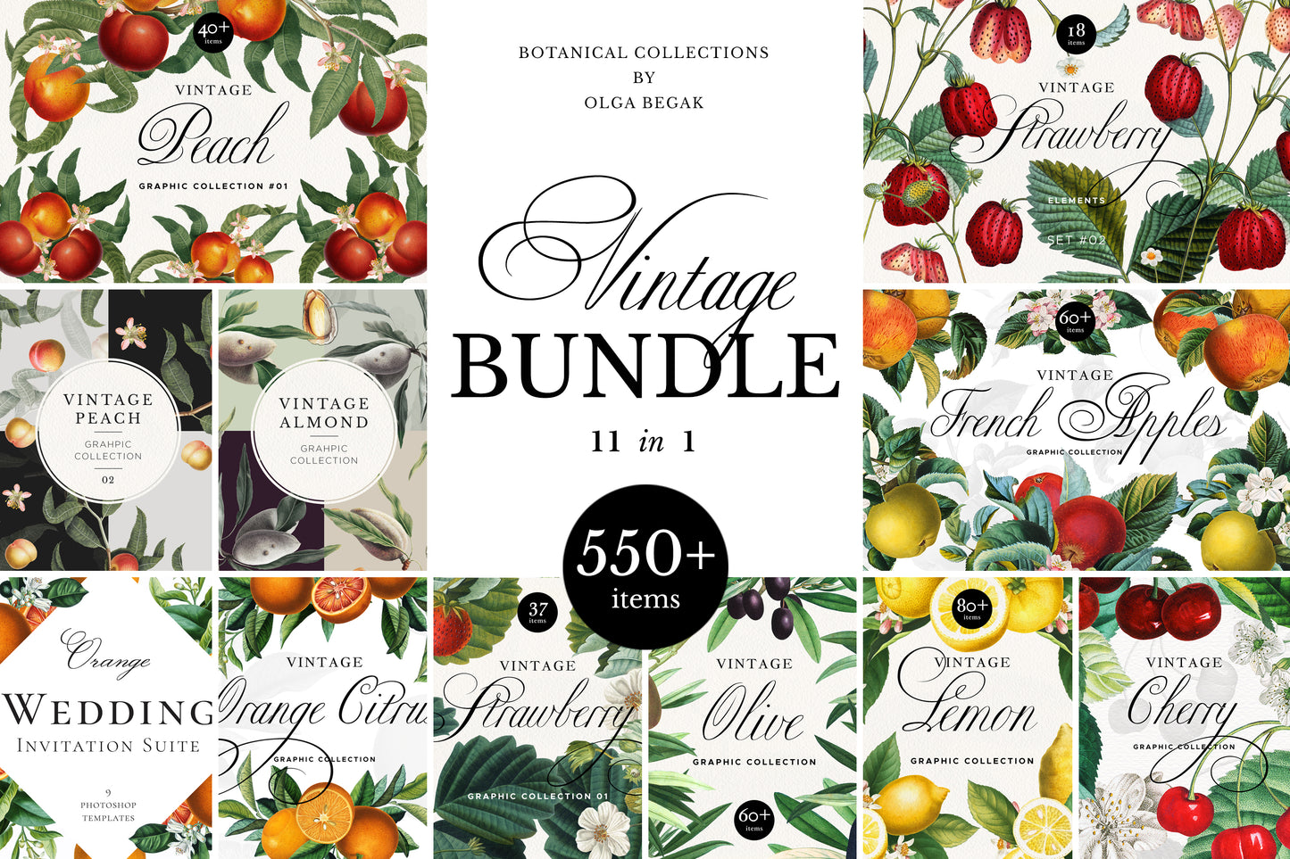 VINTAGE BOTANICAL Graphics Bundle