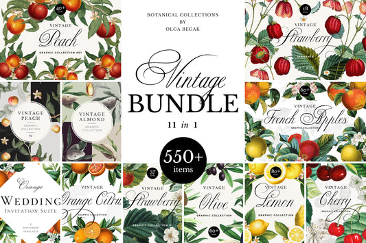 VINTAGE BOTANICAL Graphics Bundle