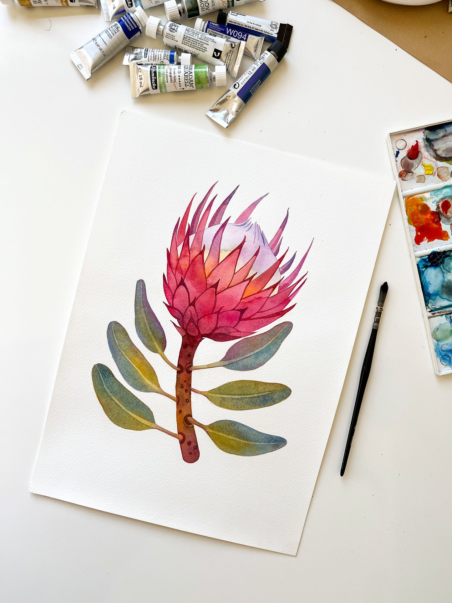 PINK KING PROTEA Aquarell Malerei Giclée-Druck #W32