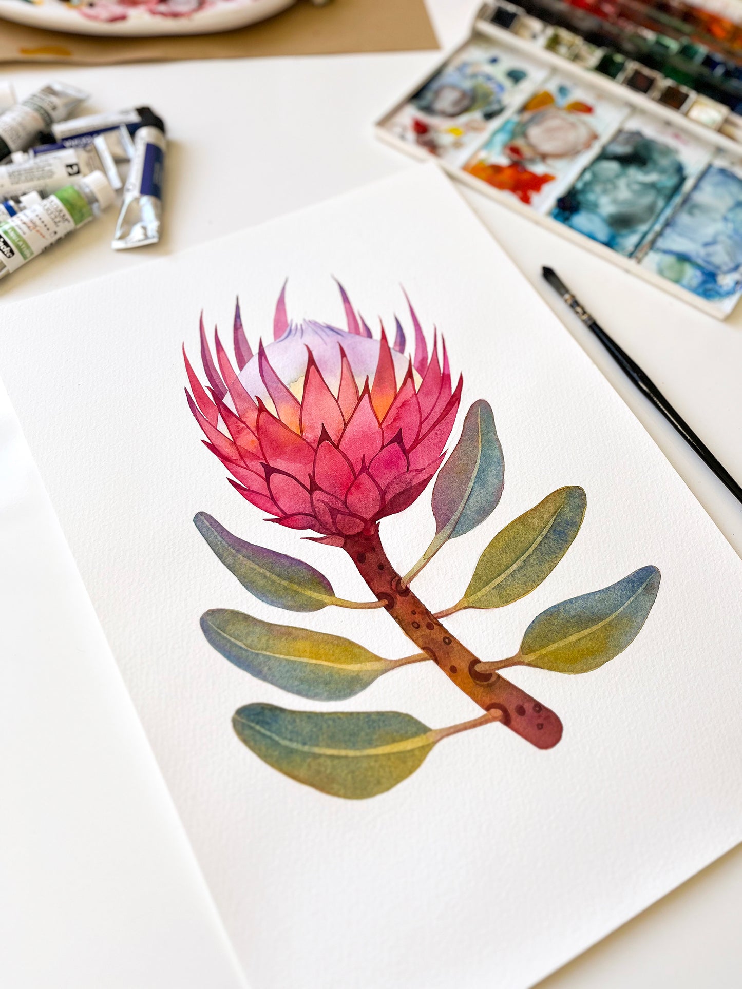 PINK KING PROTEA Aquarell Malerei Giclée-Druck #W32