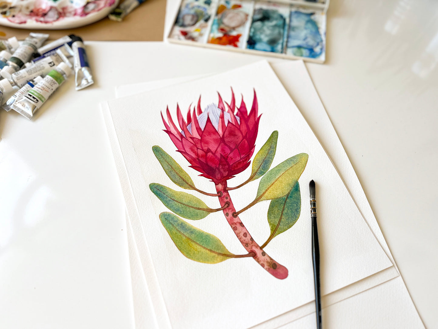PINK KING PROTEA Watercolor Painting Giclée Print #W34