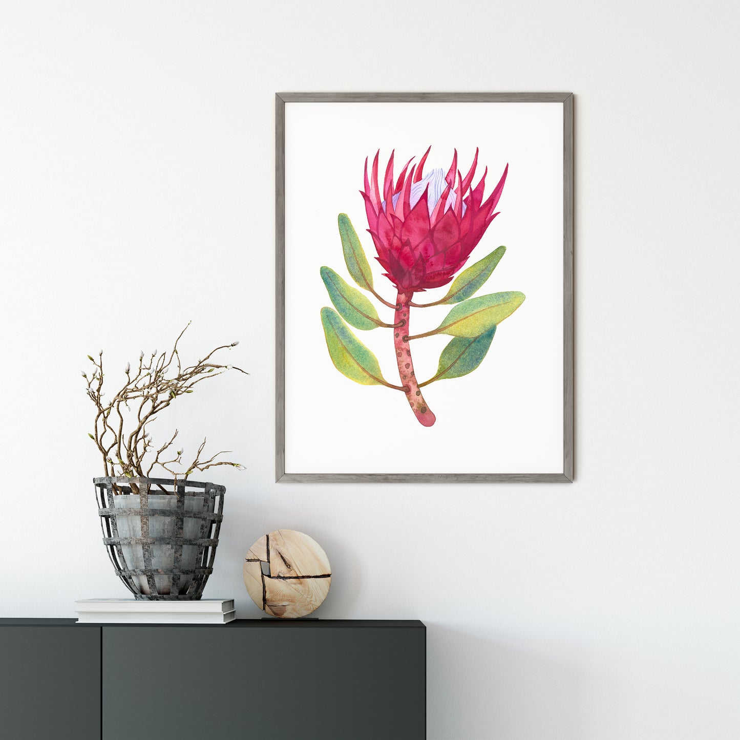 PINK KING PROTEA Watercolor Painting Giclée Print #W34
