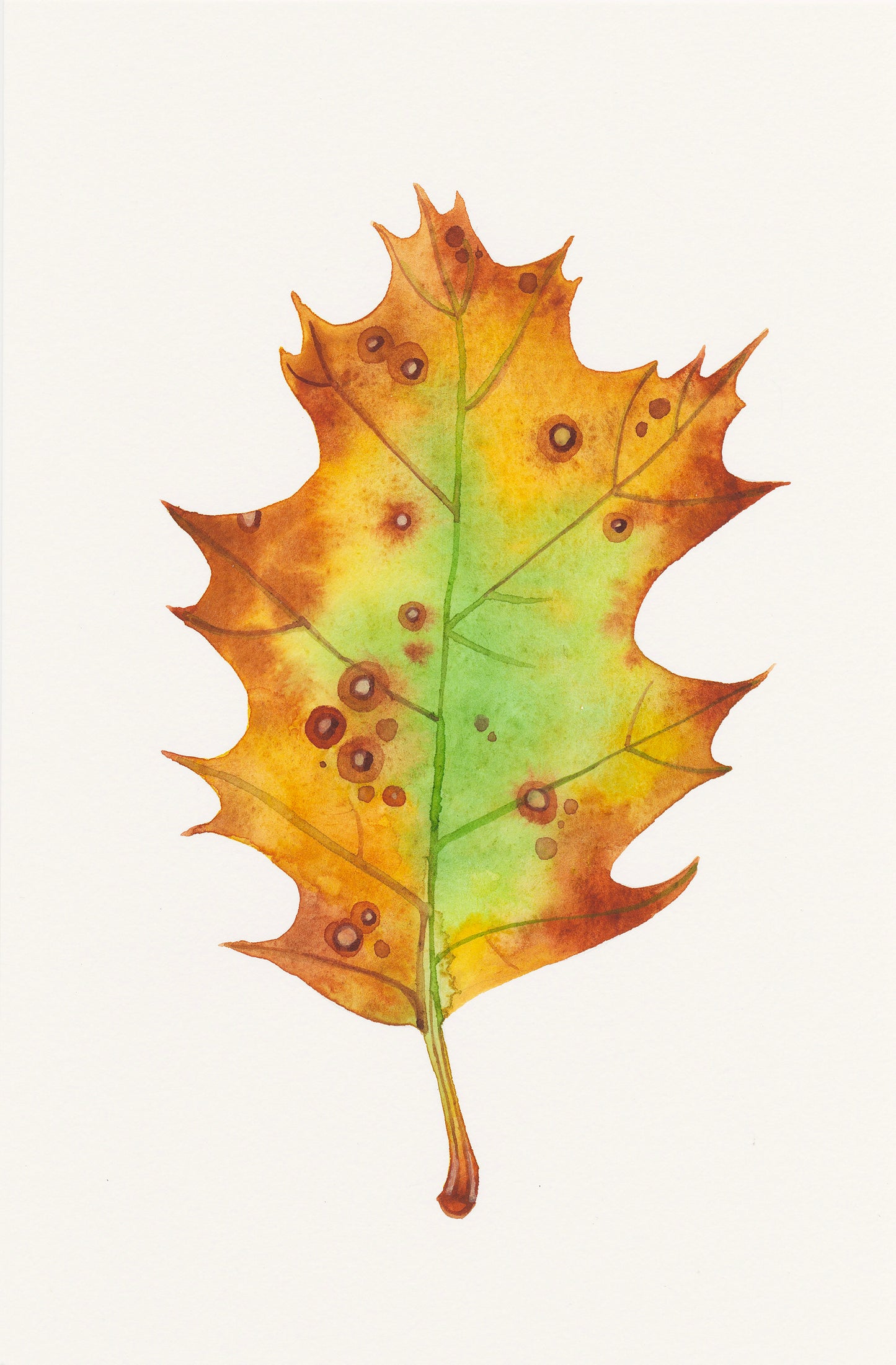 Eichenblatt Aquarell Malerei Giclée Kunstdruck #W36