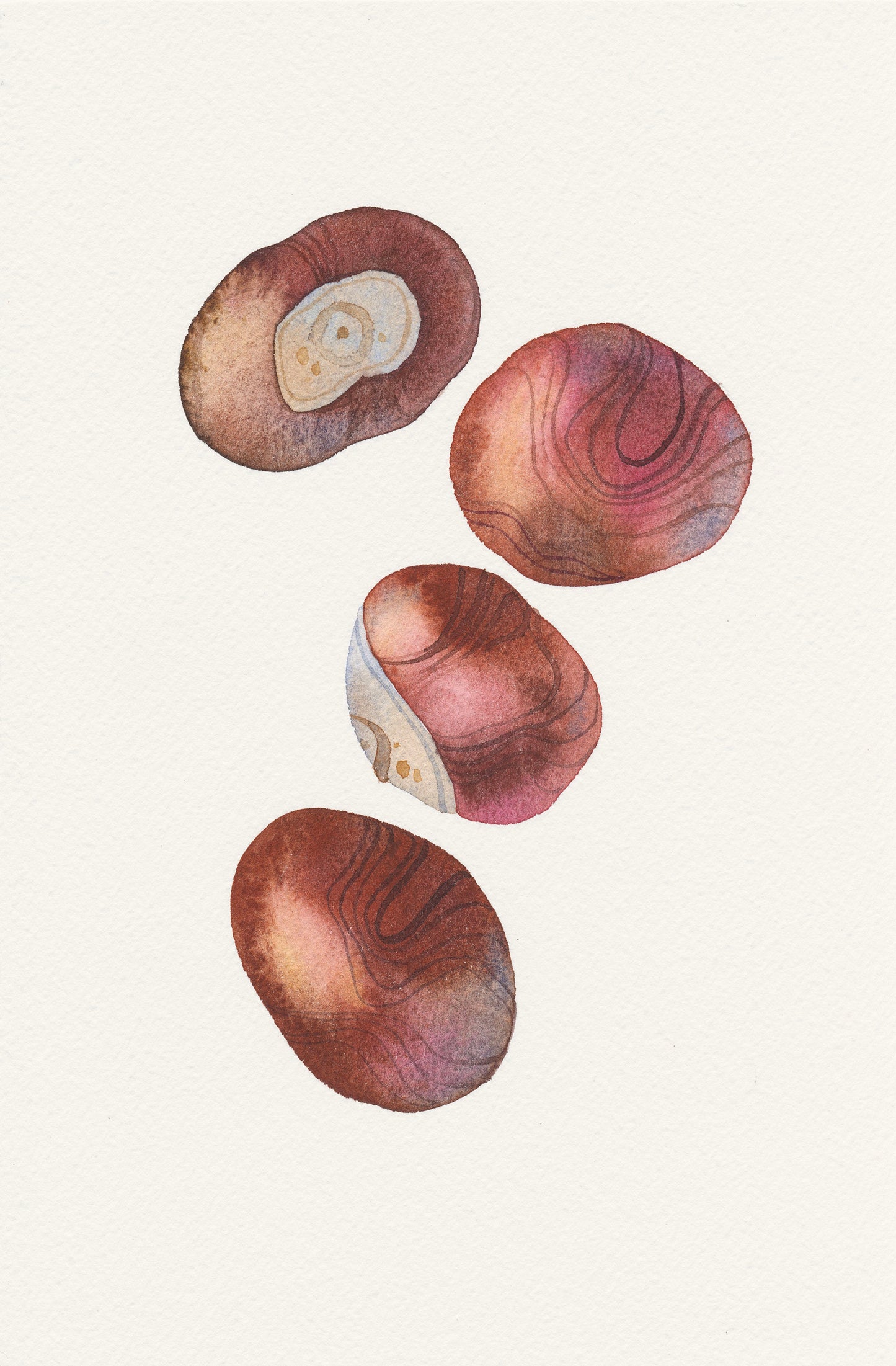 Rosskastanie Aquarell Malerei Giclée Kunstdruck #W39