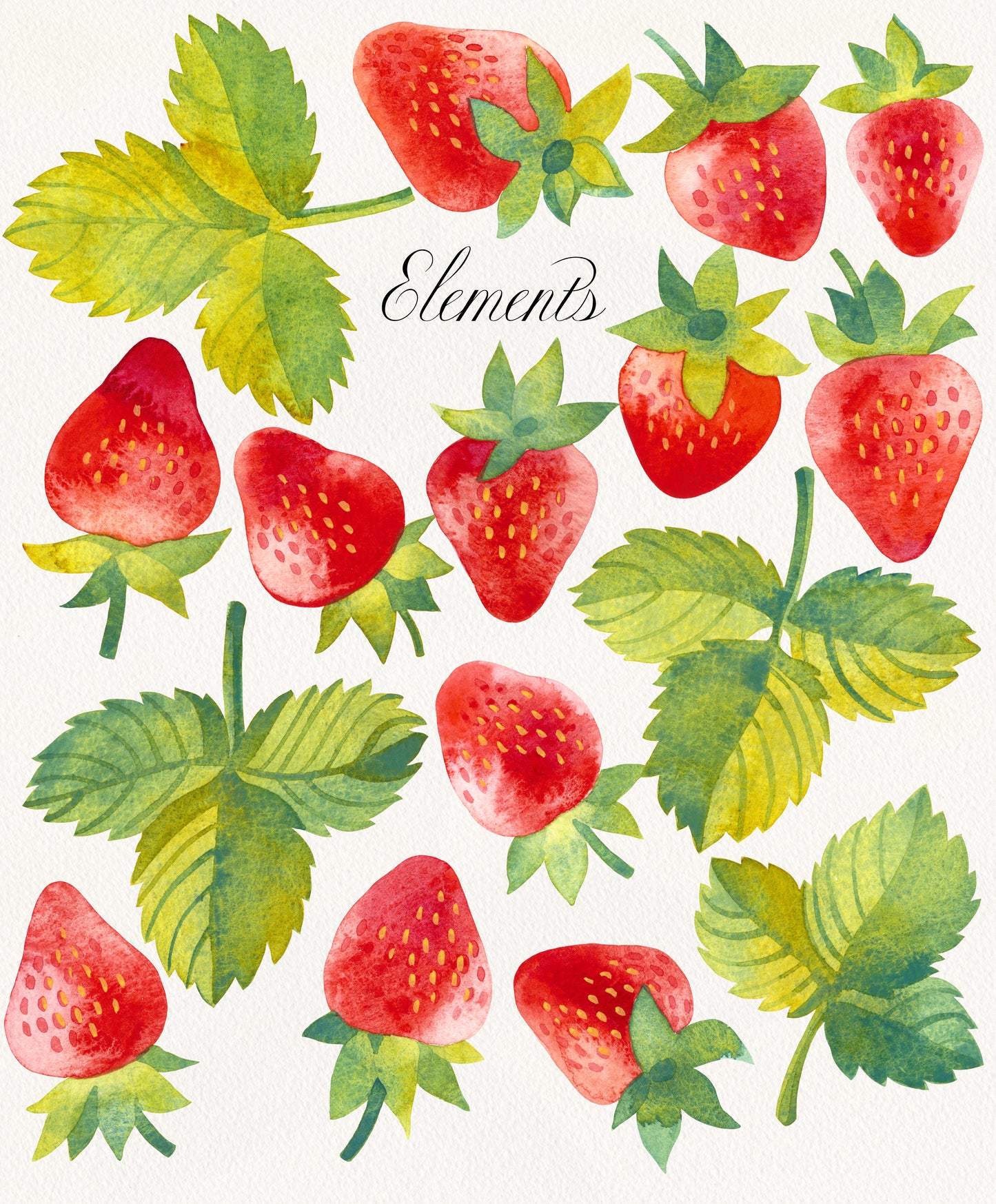 Aquarell Erdbeere Grafiksammlung