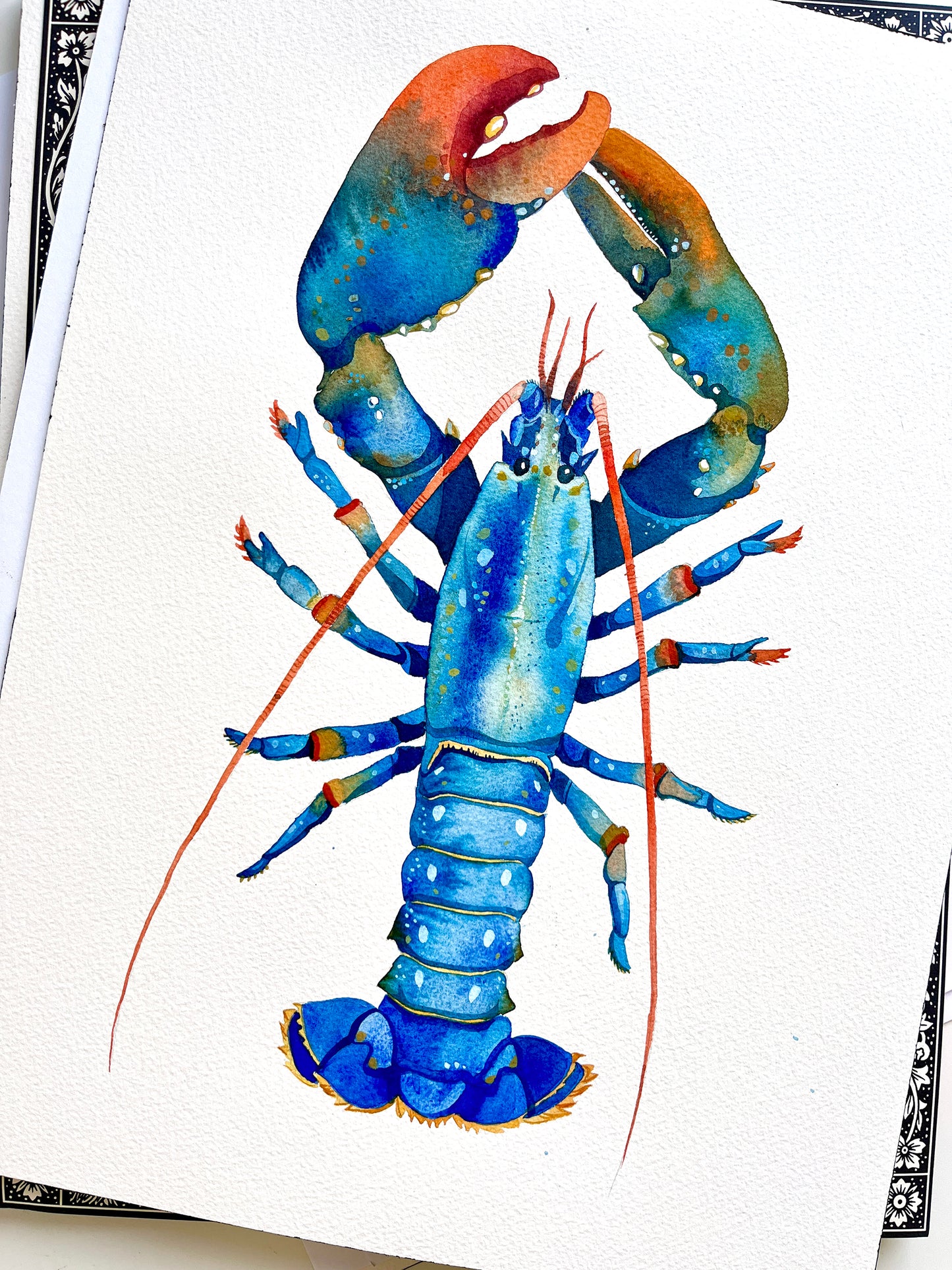 The original watercolor painting of a Blue European lobster