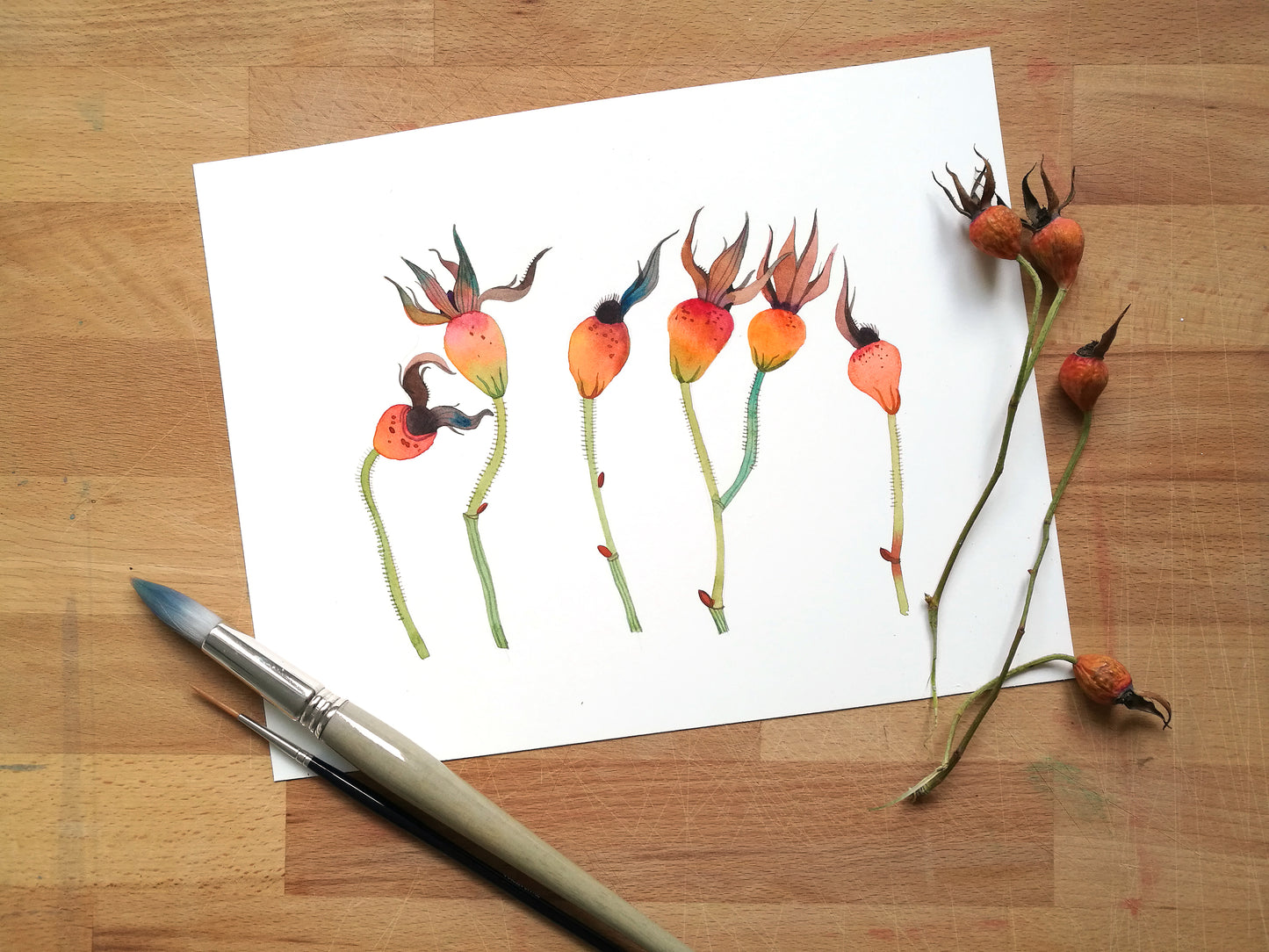 A watercolor painting of orange dried rose hips with green stems, styled on a wooden surface with a paintbrush and dried rose hips.