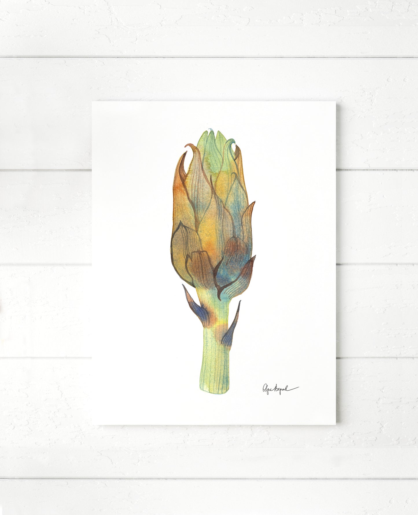 ARTICHOKE original watercolor painting by Olga Begak