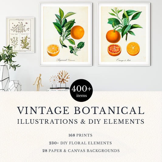 VINTAGE BOTANICAL PRINTS & DIY ELEMENTS