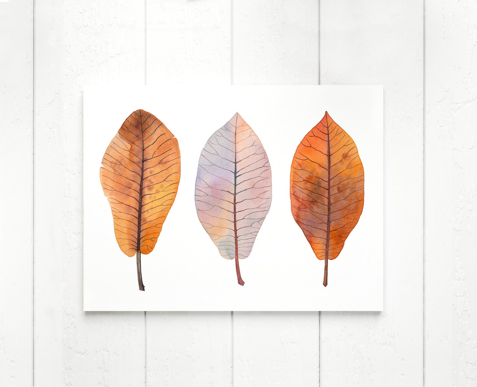 Fine art print of BIGLEAF MAGNOLIA LEAVES watercolor painting by Olga Begak