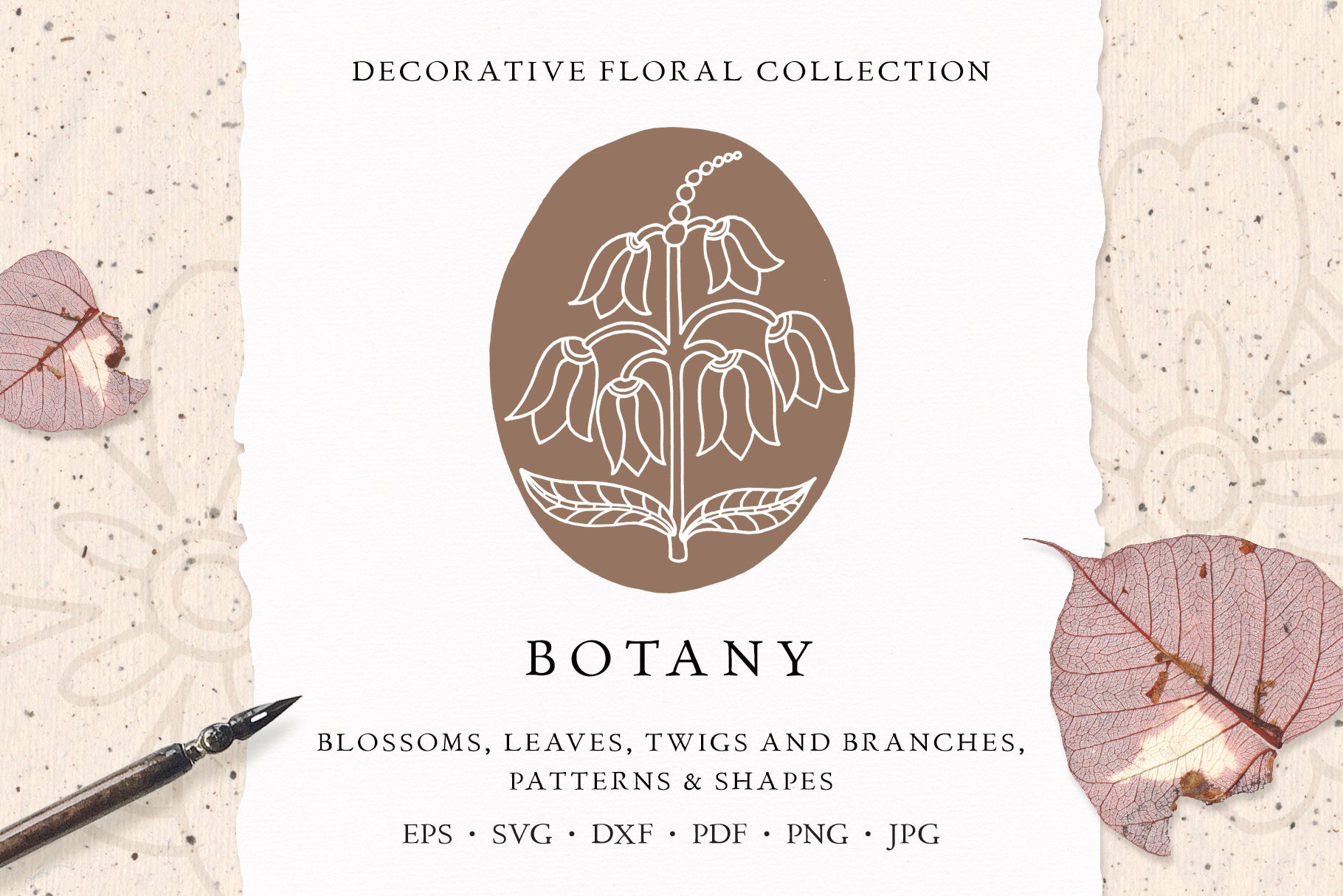 Line Art Botanical Vector Graphic Collection • Hand-Drawn Floral Image ...