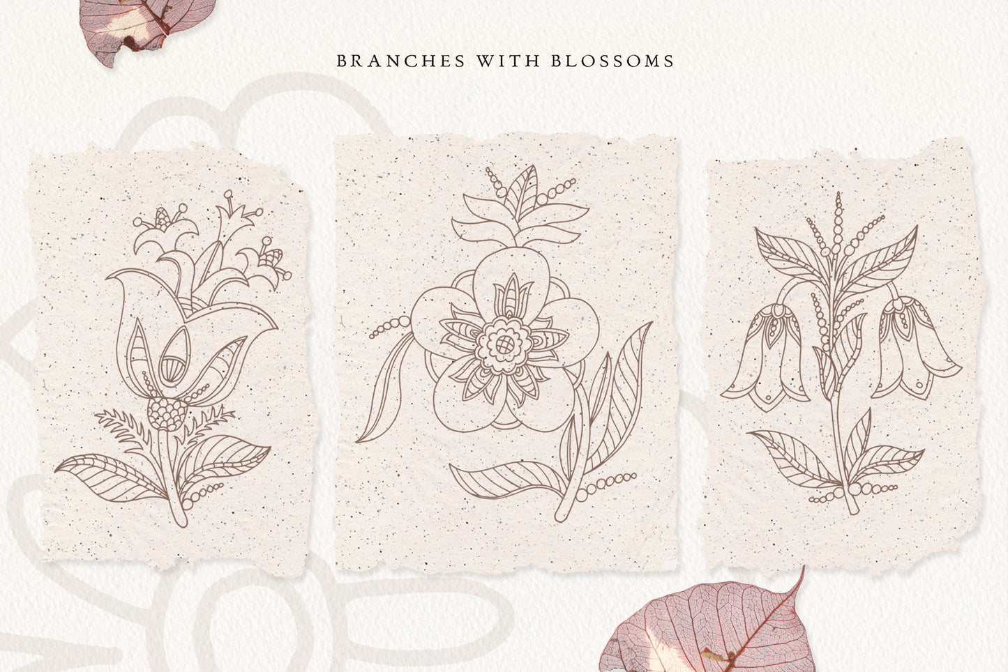 BOTANY Line Art Graphic Collection