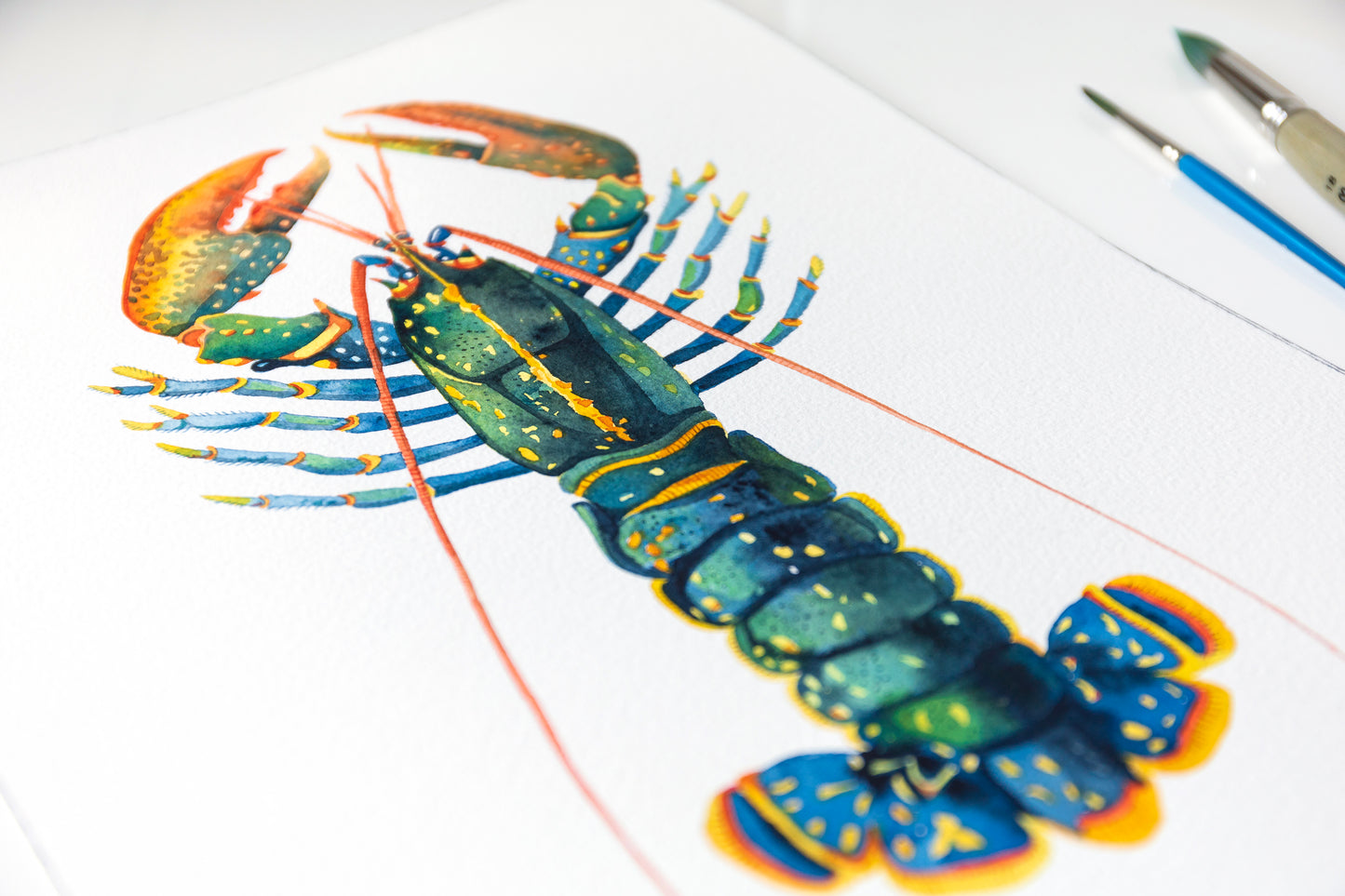 EUROPEAN LOBSTER Watercolor Painting Giclée Print #L05