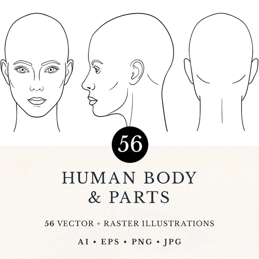 HUMAN BODY & PARTS Line Art Graphic Collection