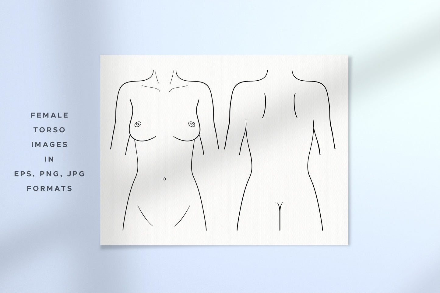 HUMAN BODY & PARTS Line Art Graphic Collection