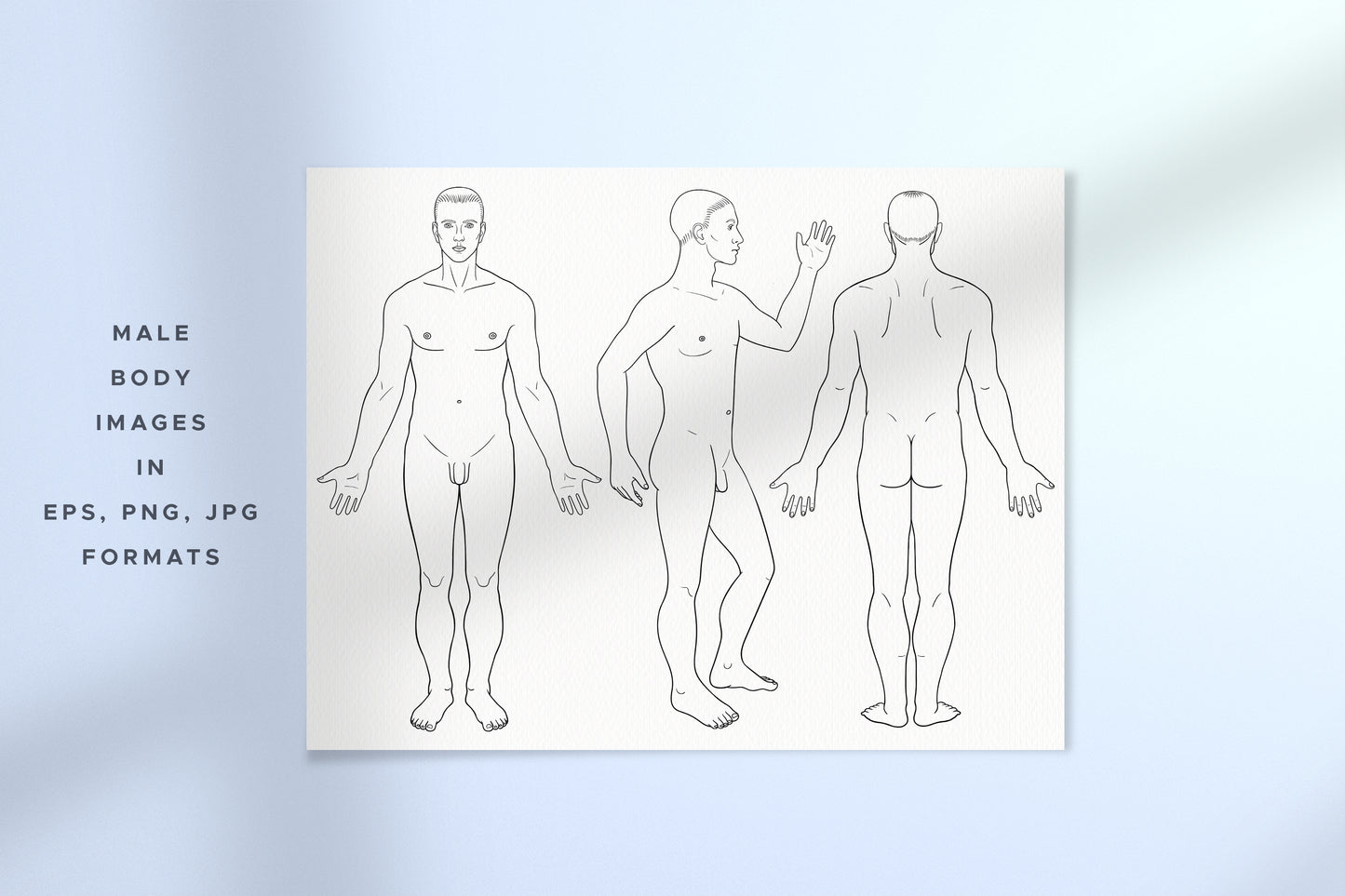 HUMAN BODY & PARTS Line Art Graphic Collection