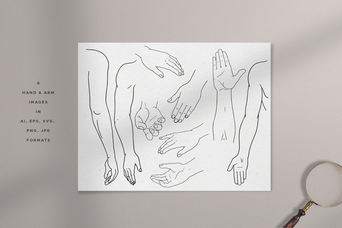 HUMAN BODY & PARTS Line Art Graphic Collection