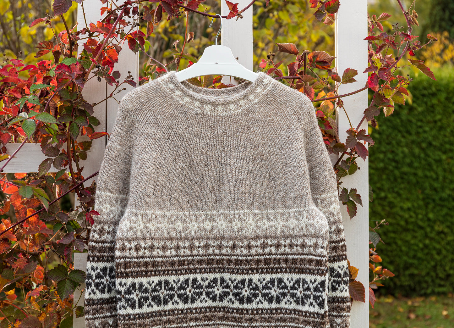 Helga icelandic lopapeysa sweater with a pattern on a hanger against a natural background