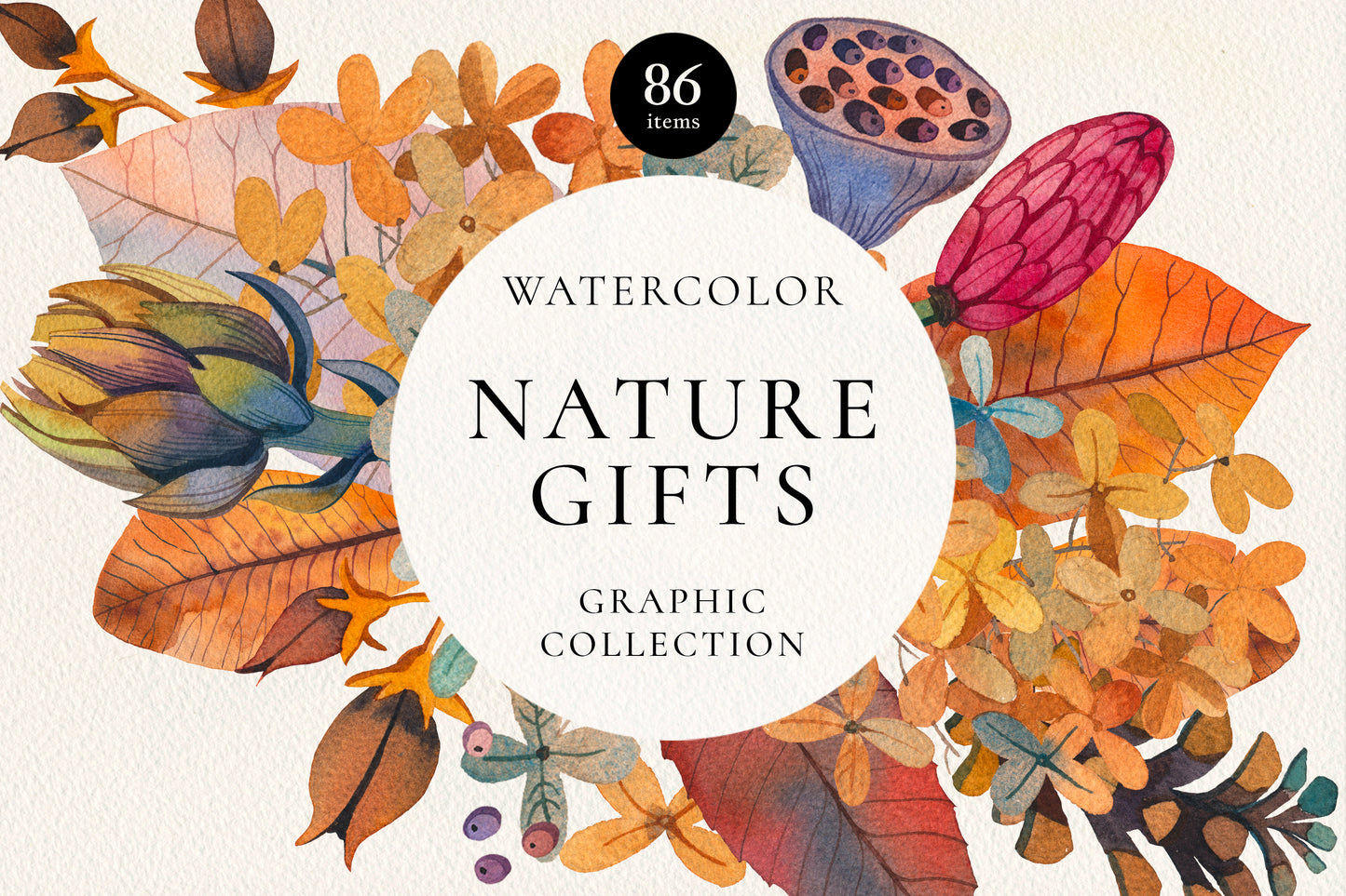NATURE GIFTS Graphic Collection