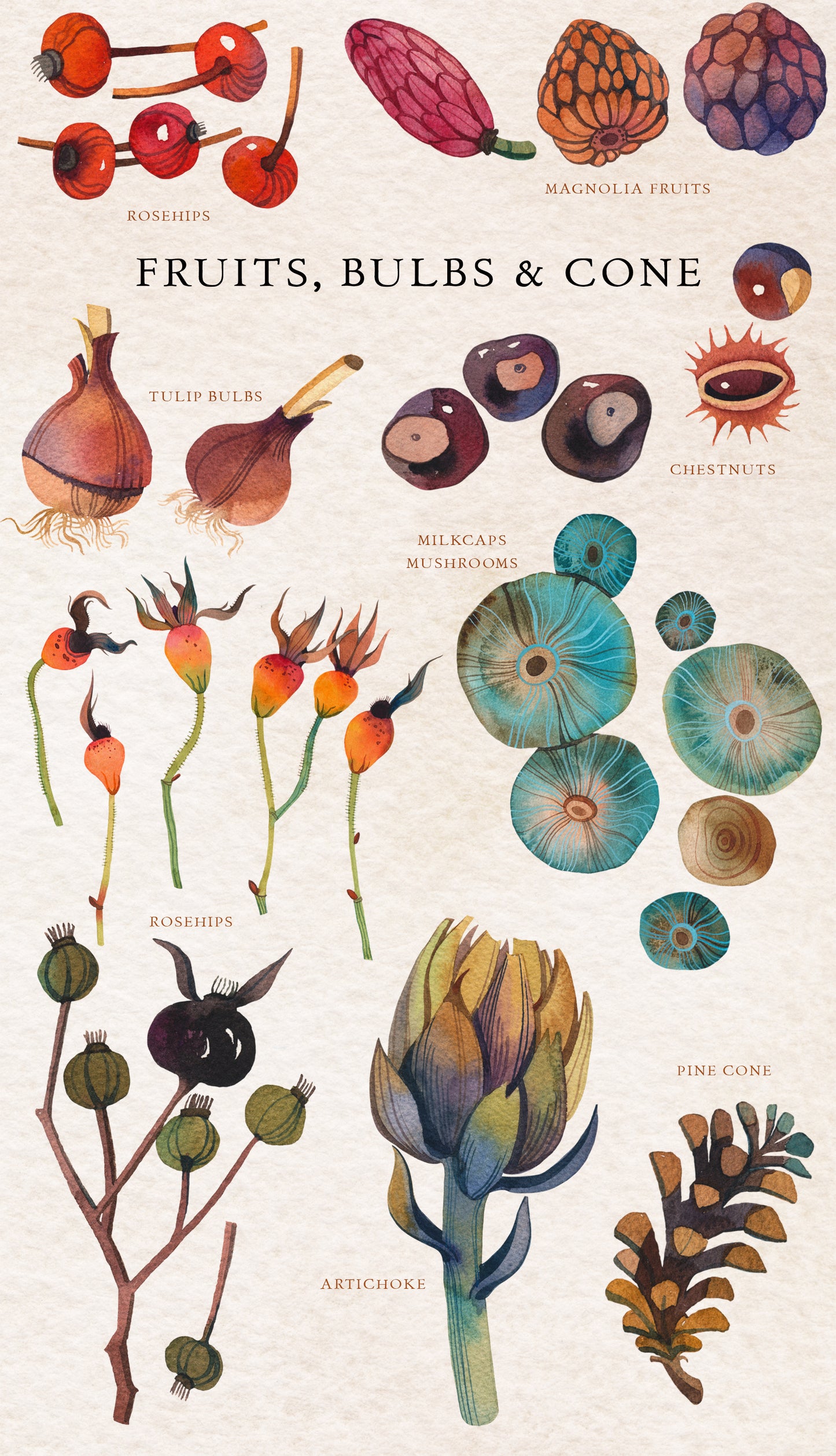 NATURE GIFTS Graphic Collection