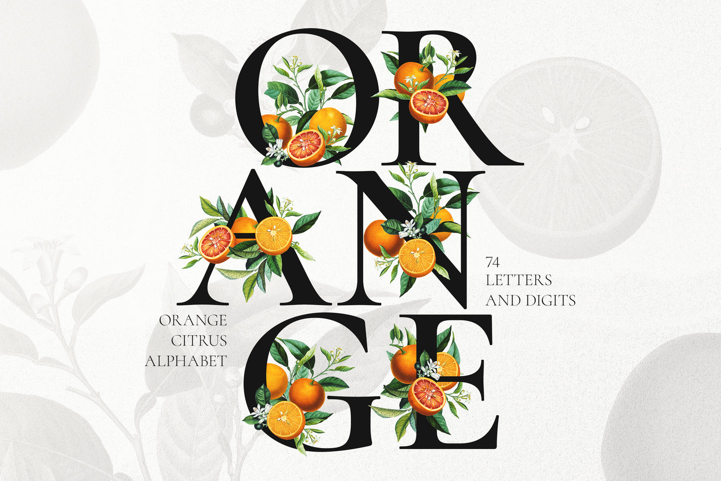 ORANGE Citrus Monogram Alphabet