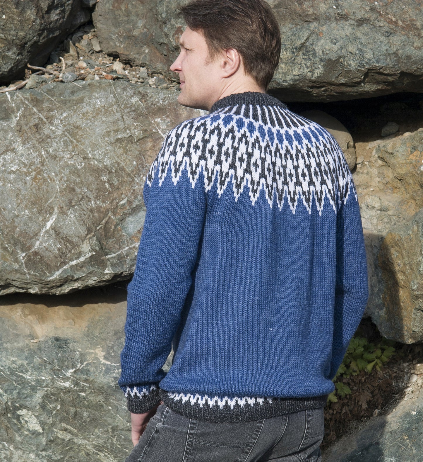 Back view of Odin Icelandic lopapeysa swetaer with classic yoke