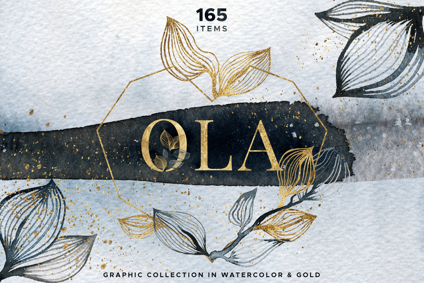 OLA Watercolor Graphic Collection