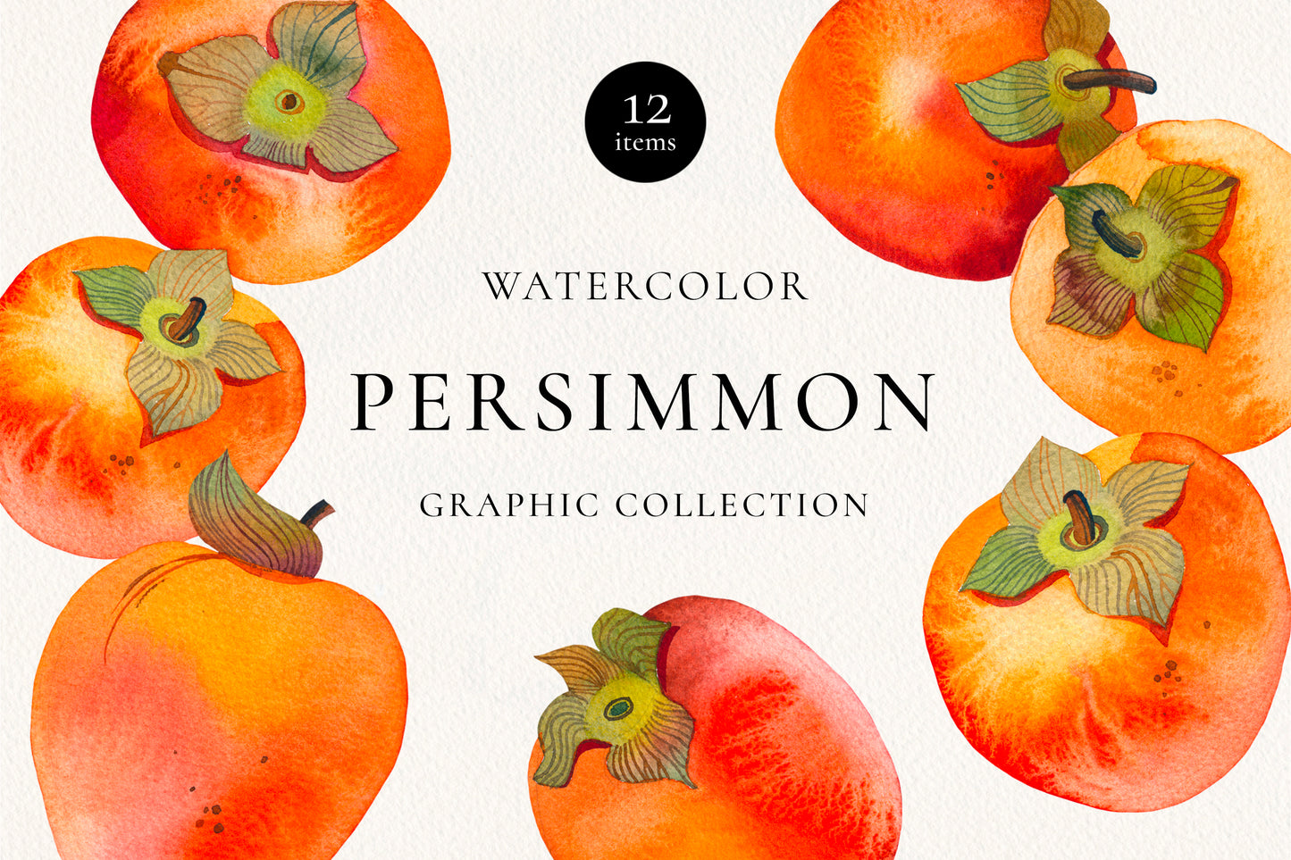WATERCOLOR PERSIMMON Graphic Collection