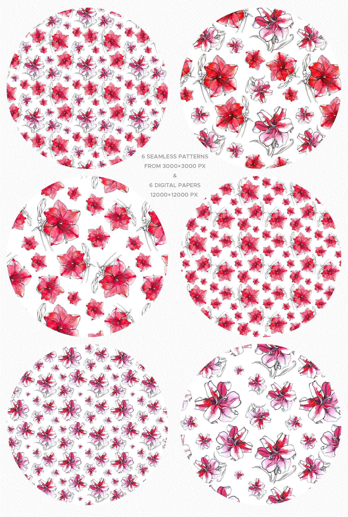 WATERCOLOR RED LILY Graphic Collection