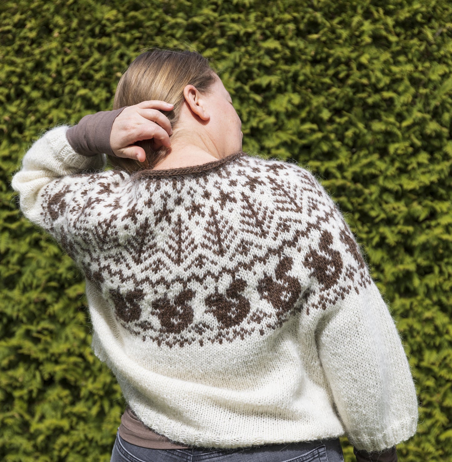 Back view of Squirrel icelandic lopapeysa sweater