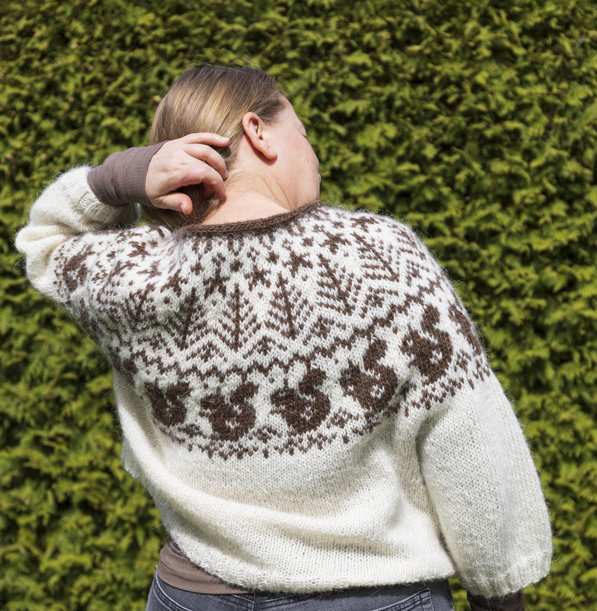Back view of Squirrel icelandic lopapeysa sweater