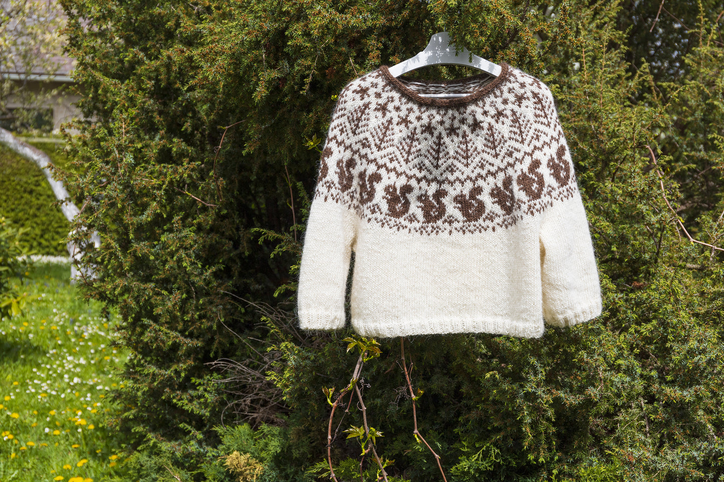 White and brown Squirrel icelandic lopapeysa sweater displayed in a garden against greenery background
