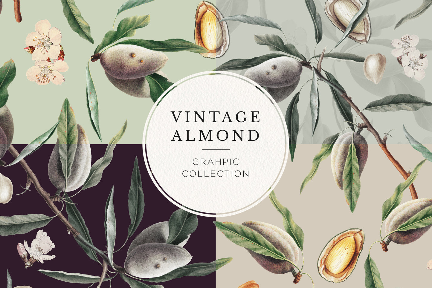 VINTAGE ALMOND Patterns and Elements
