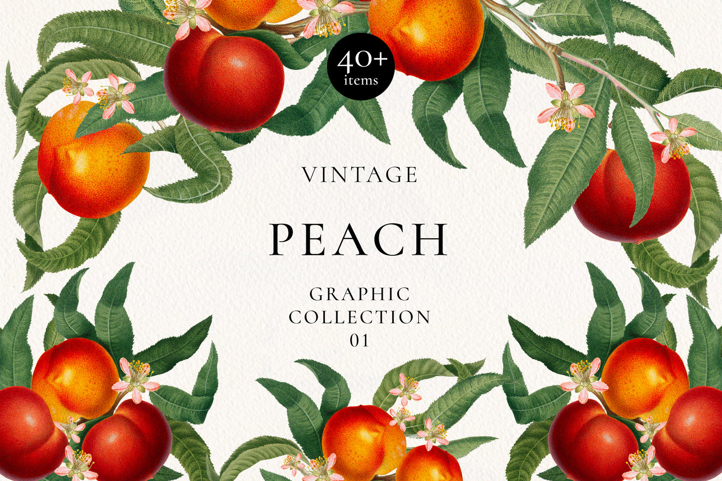 VINTAGE PEACH Graphic Collection #01