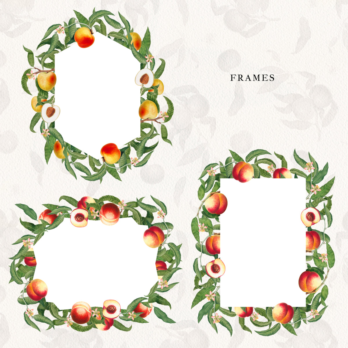 Vintage Peach Botanical Graphics No. 03 • Fruits, Frames, Arrangements & Seamless Patterns