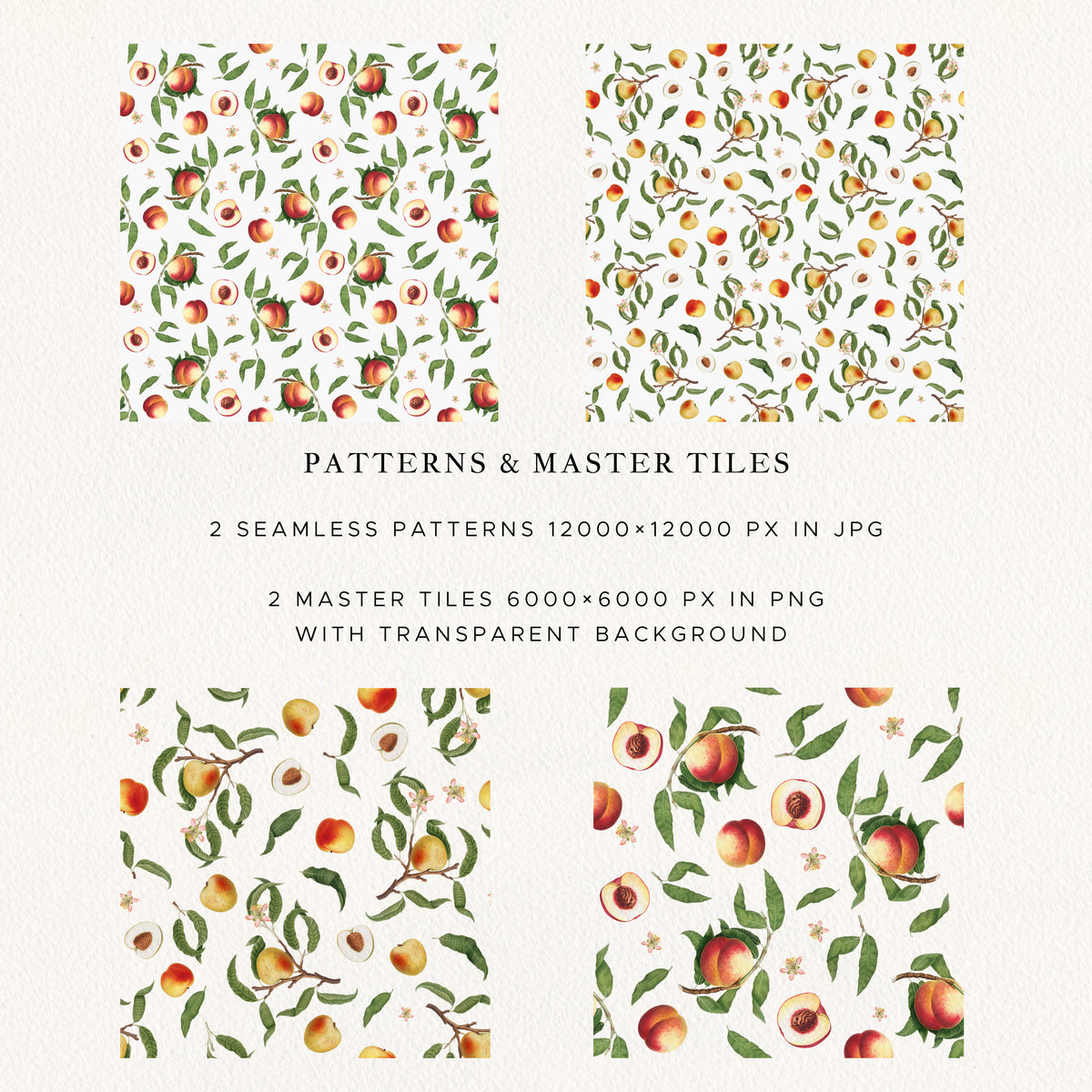 Vintage Peach Botanical Graphics No. 03 • Fruits, Frames, Arrangements & Seamless Patterns
