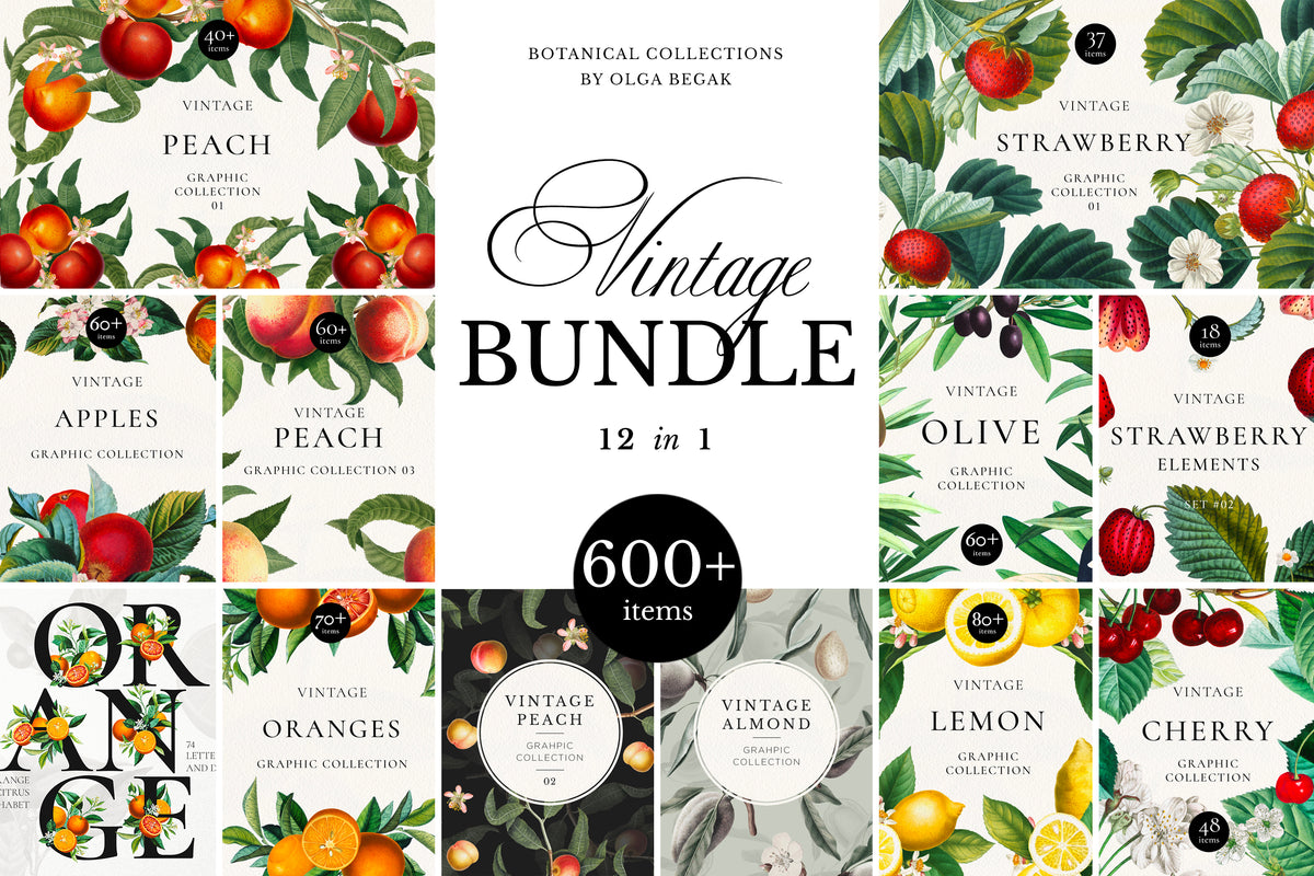 Vintage Botanische Grafiken-Bundle • 550 Blumen- & Früchte-Bilder, Rahmen, Arrangements & Nahtlose Muster